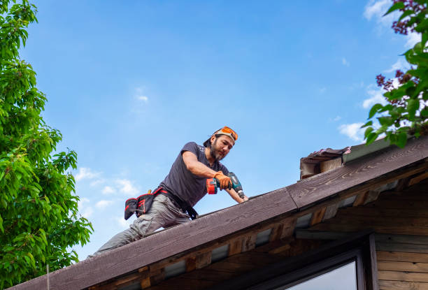 Best Roof Insulation Installation  in Weston, MO